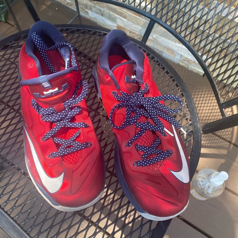 Air Max Nike Lebron Collectors Shoes